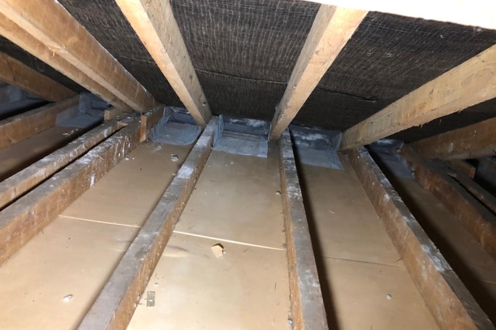 Rodent Proofing Your Attic