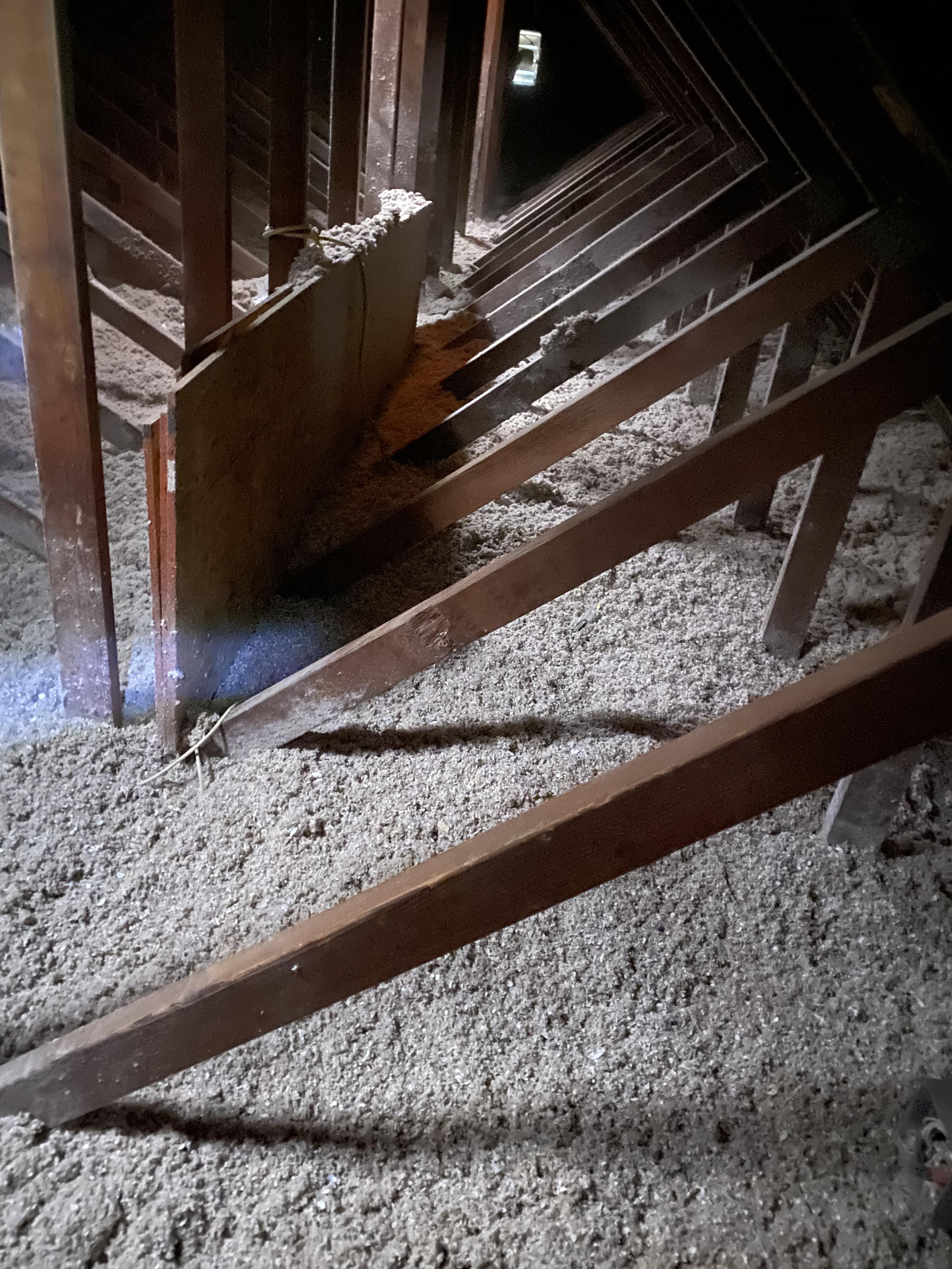 Insulation Removal