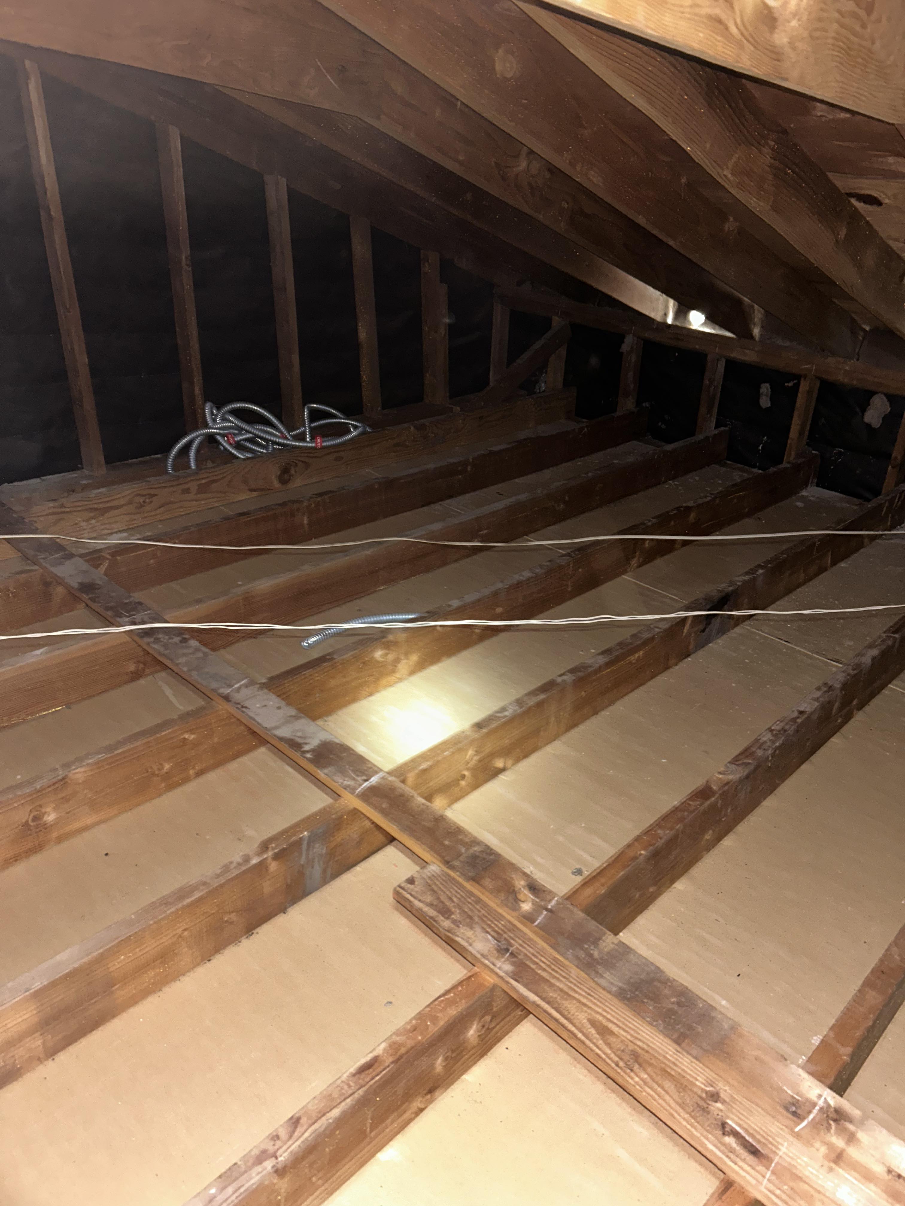 Attic rodent proofing
