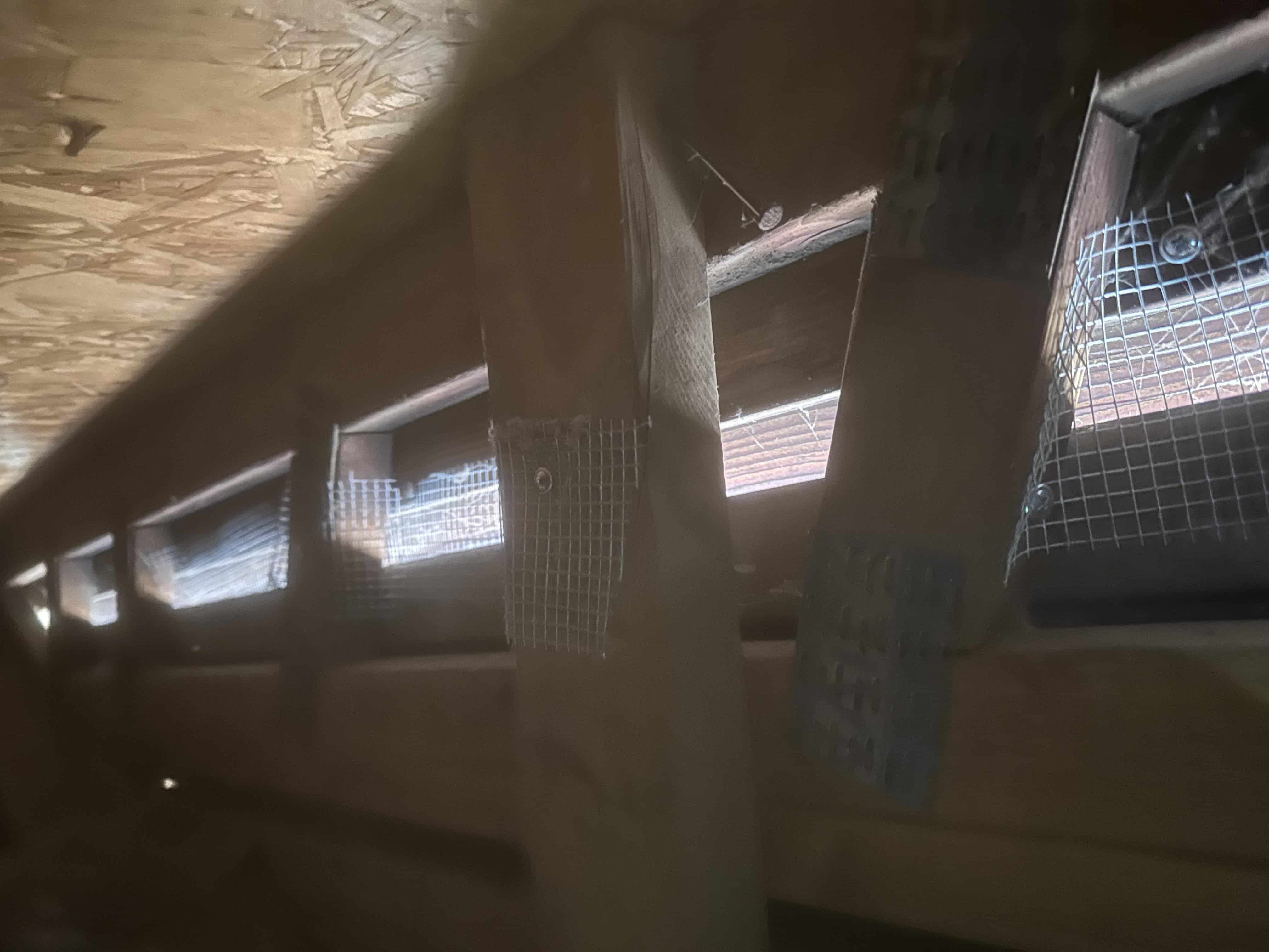 rodent proofing attic