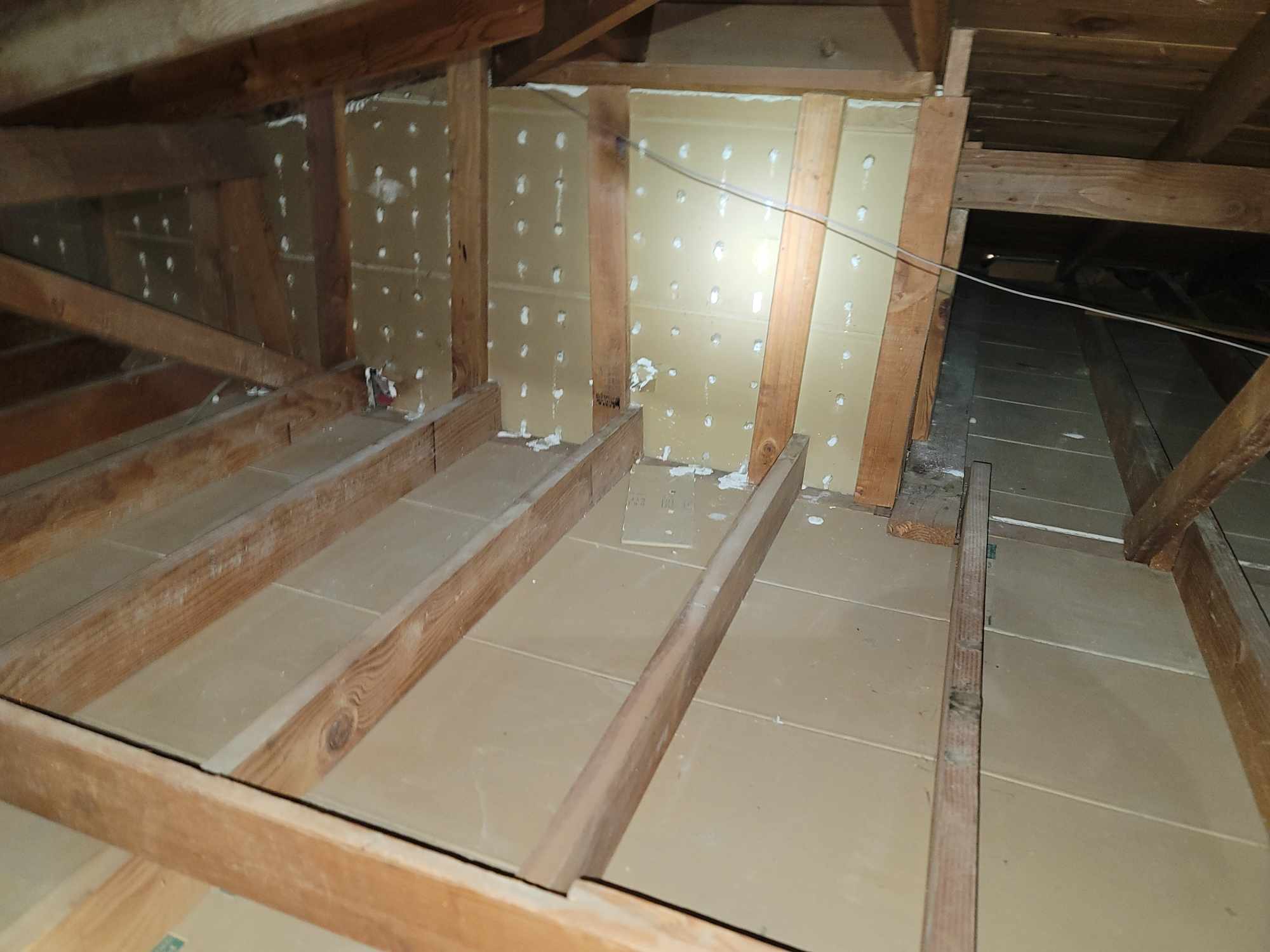 attic cleanout