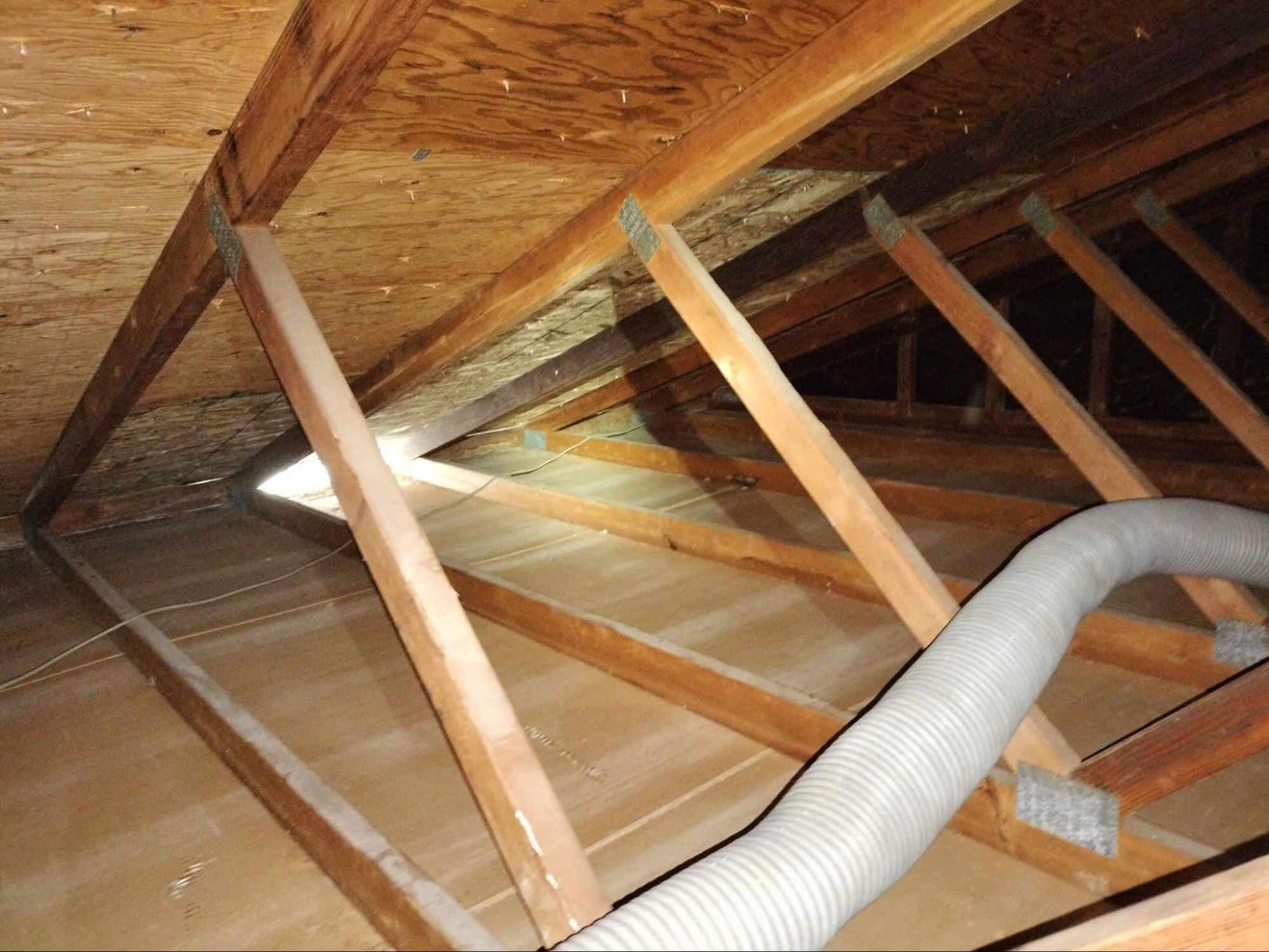 rodent-proofing