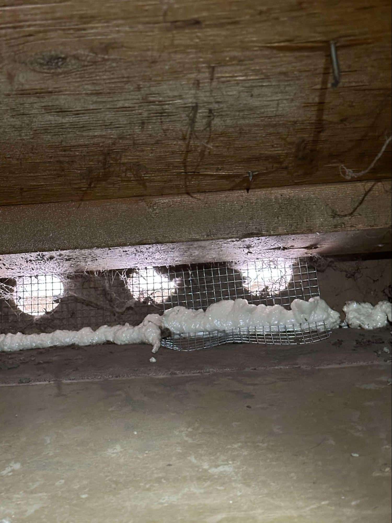 attic blown insulation
