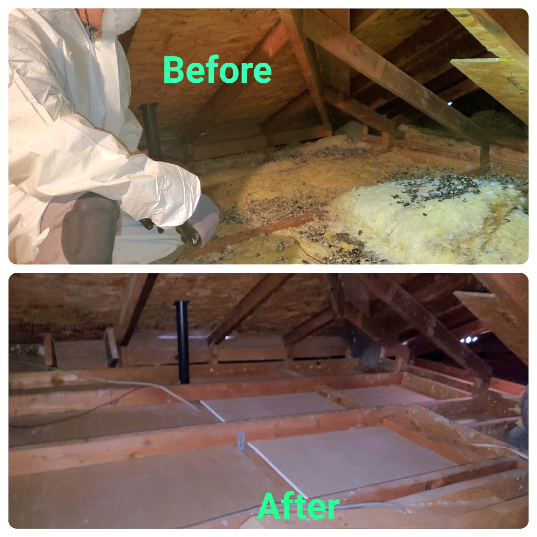 professional attic cleaning