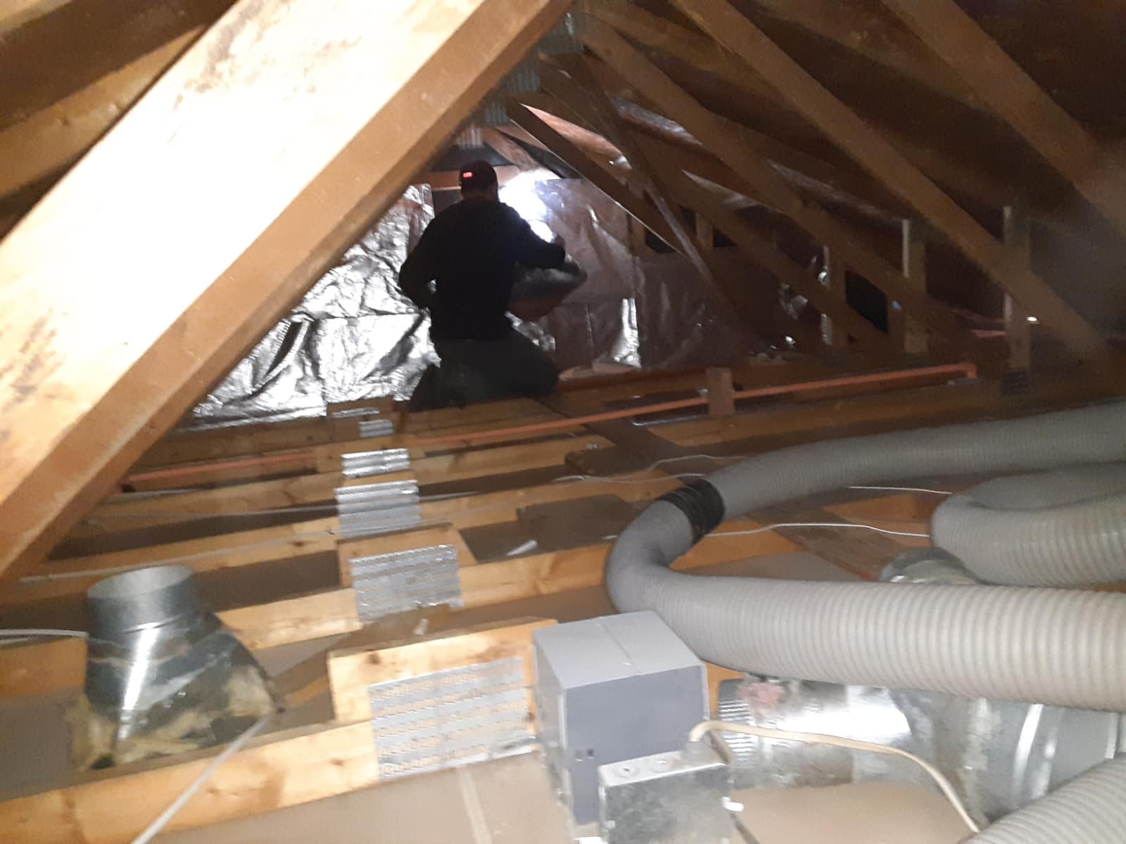 ceiling insulation removal