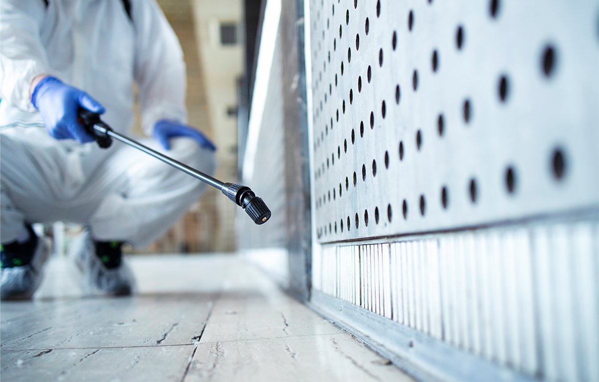 Key Benefits of Professional Rodent Control