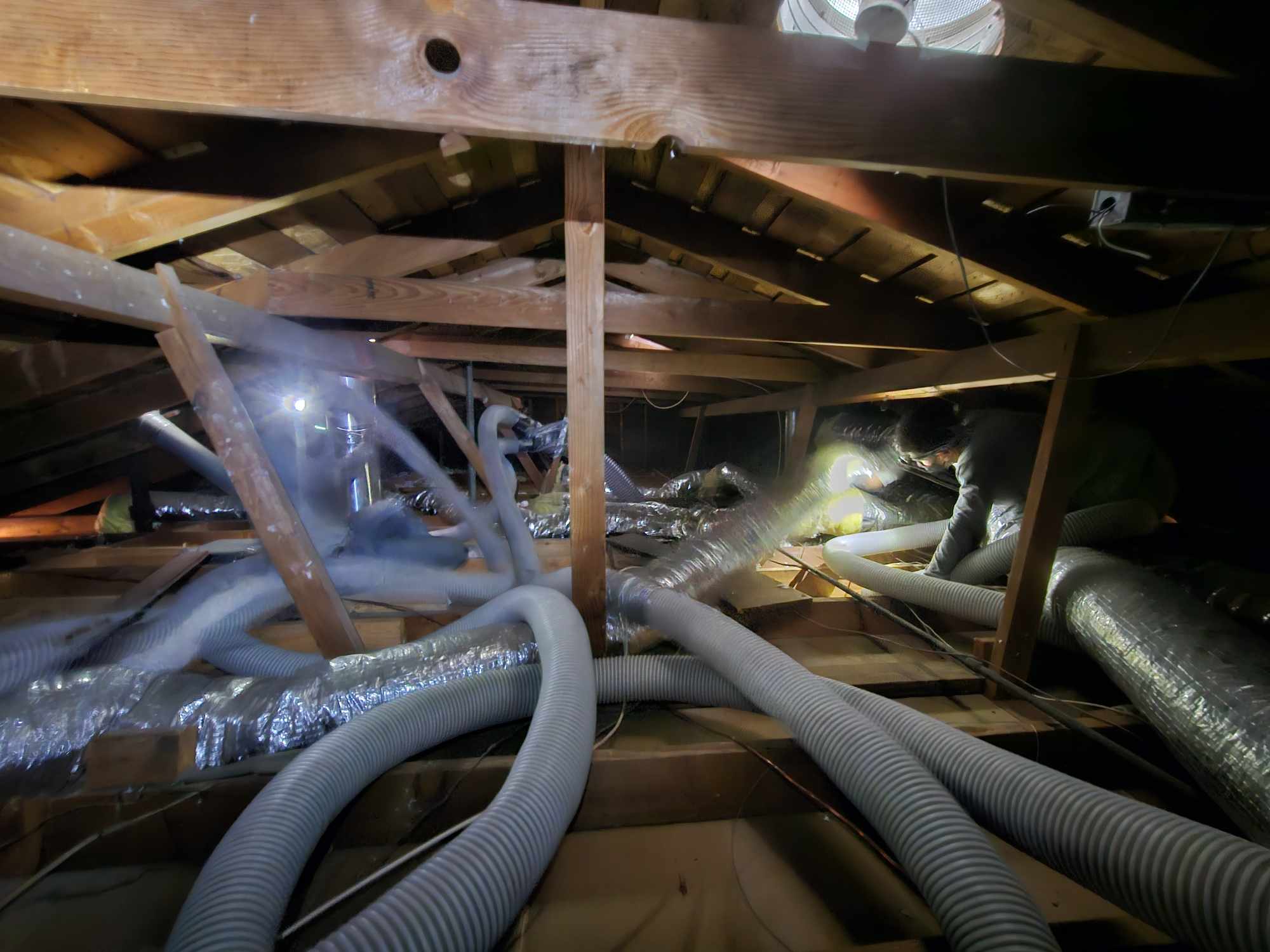 attic cleaning