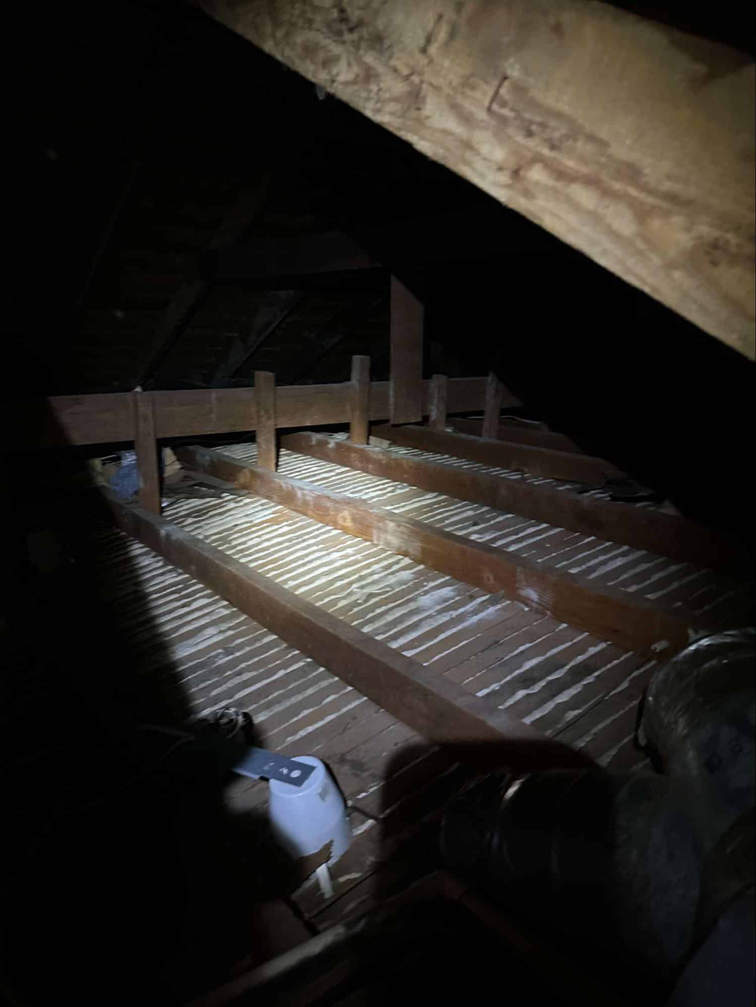 attic cleaning