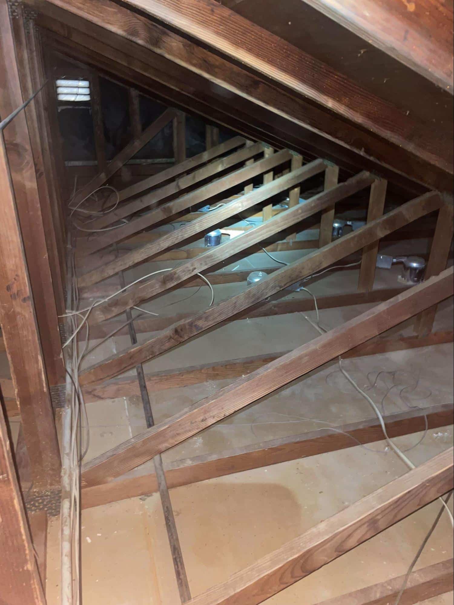 Rodent Proofing