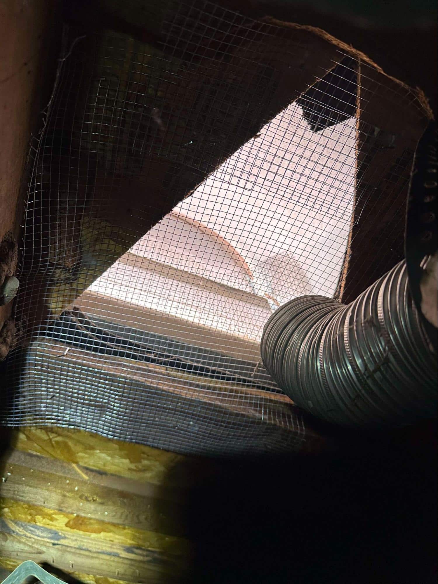 attic insulation